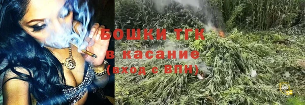 мет Алексин