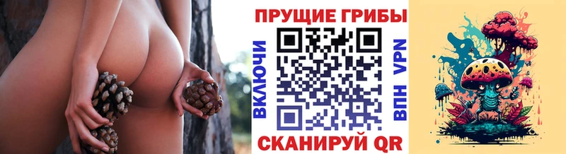 Галлюциногенные грибы ЛСД  Мураши 